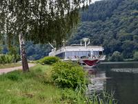 Flusskreuzfahrt mit A-ROSA FLORA • Ankern in Mehring an der Mosel &ndash; &copy; Franziska Bergmann (Eberhardt TRAVEL)
