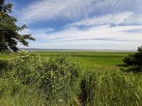 Wanderung von Althagen nach Wustrow (Saaler Bodden) &ndash; &copy; Katrin Deutschbein (Eberhardt TRAVEL)