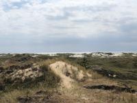Amrum &ndash; &copy; Diana Mendel (Eberhardt TRAVEL)