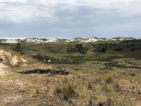 Dünen Amrum &ndash; &copy; Diana Mendel (Eberhardt TRAVEL)