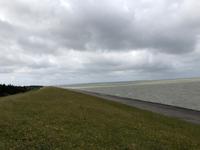 Am Deich Föhr Nord  &ndash; &copy; Diana Mendel (Eberhardt TRAVEL)