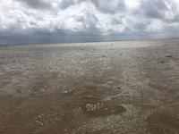Föhr &ndash; &copy; Diana Mendel (Eberhardt TRAVEL)