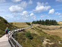 Bohlenweg  &ndash; &copy; Diana Mendel (Eberhardt TRAVEL)