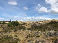 Amrum &ndash; &copy; Diana Mendel (Eberhardt TRAVEL)