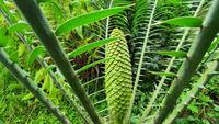 Im Botanischen Garten von Dresden &ndash; &copy; Kristin Weigel (Eberhardt TRAVEL)