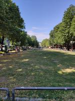 Poppelsdorfer Allee &ndash; &copy; Philipp Sonntag (Eberhardt TRAVEL)