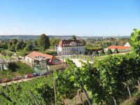 ... der Blick von oben auf Schloß Wackerbarth