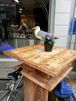 Greifswald &ndash; &copy; Lea Weigmann (Eberhardt TRAVEL)