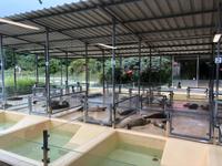 Seehundstation  &ndash; &copy; Diana Mendel (Eberhardt TRAVEL)