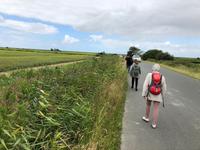 Pewsum  &ndash; &copy; Diana Mendel (Eberhardt TRAVEL)