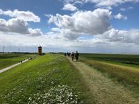 Pewsum Leuchtturm  &ndash; &copy; Diana Mendel (Eberhardt TRAVEL)
