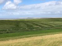 Deich vor Greetsiel  &ndash; &copy; Diana Mendel (Eberhardt TRAVEL)