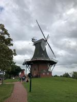 Mühlen Greetsiel  &ndash; &copy; Diana Mendel (Eberhardt TRAVEL)