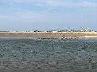 Baltrum  &ndash; &copy; Diana Mendel (Eberhardt TRAVEL)