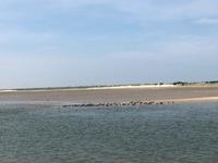 Baltrum  &ndash; &copy; Diana Mendel (Eberhardt TRAVEL)