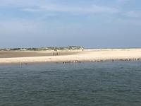 Baltrum  &ndash; &copy; Diana Mendel (Eberhardt TRAVEL)
