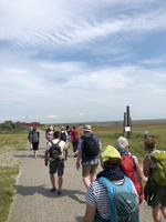 Wattwanderung  &ndash; &copy; Diana Mendel (Eberhardt TRAVEL)