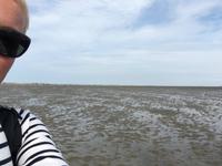 Wattwanderung  &ndash; &copy; Diana Mendel (Eberhardt TRAVEL)