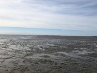 Wattwanderung  &ndash; &copy; Diana Mendel (Eberhardt TRAVEL)