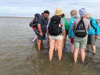 Wattwanderung  &ndash; &copy; Diana Mendel (Eberhardt TRAVEL)
