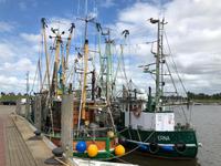 Greetsiel  &ndash; &copy; Diana Mendel (Eberhardt TRAVEL)