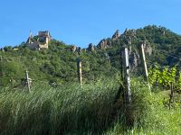 Stopp in Dürnstein &ndash; &copy; Falk Rätzer (Eberhardt TRAVEL)