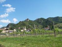 Wachau