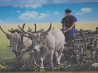 DSCN8045.JPG &ndash; &copy; Kerstin Veit (Eberhardt TRAVEL)