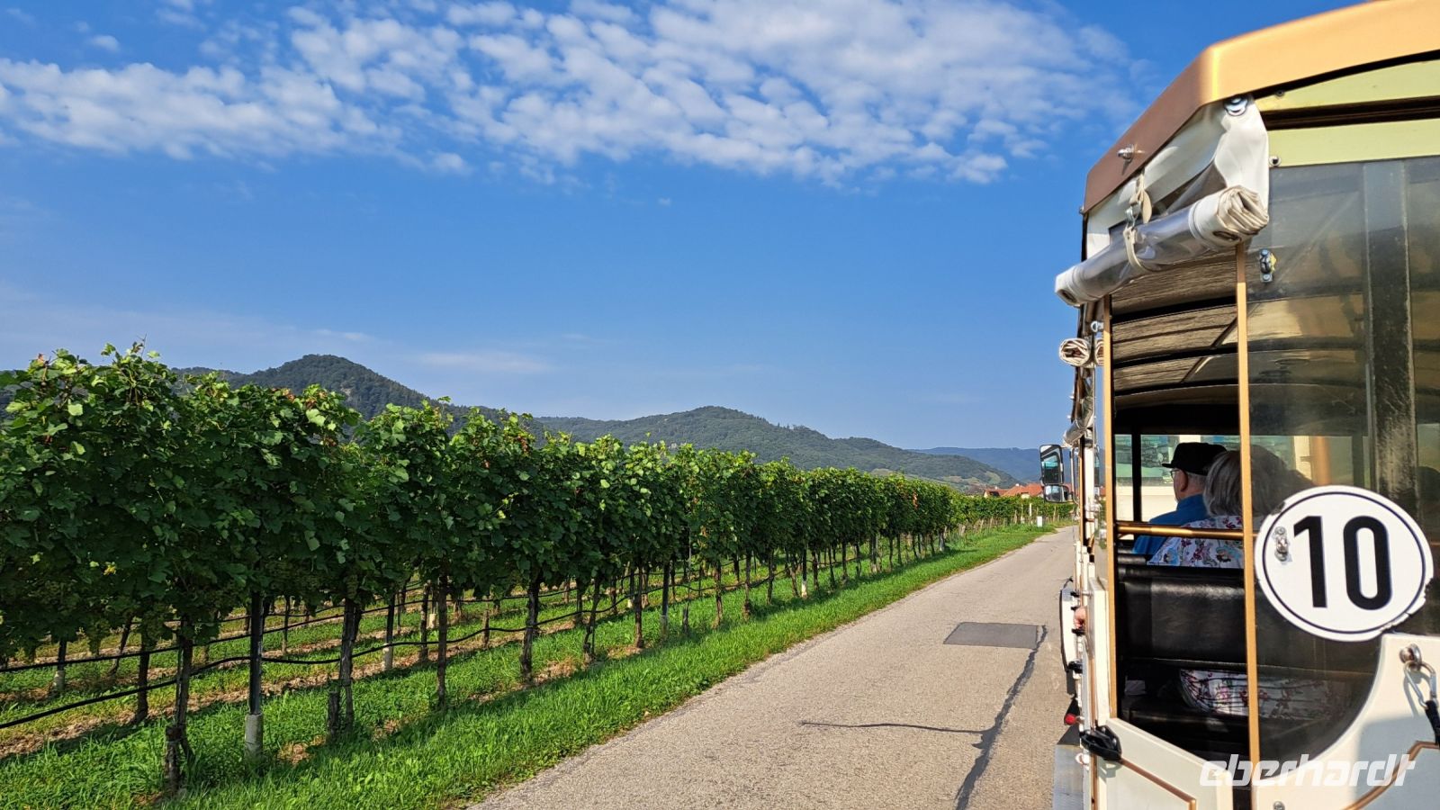 Wachau-Express in den Weingärten von Dürnstein 1.jpg &ndash; &copy; Marion Kottlos (Eberhardt TRAVEL)