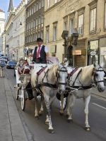 Wien Fiaker &ndash; &copy; Marion Kottlos (Eberhardt TRAVEL)