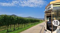 Wachau-Express in den Weingärten von Dürnstein 1.jpg &ndash; &copy; Marion Kottlos (Eberhardt TRAVEL)