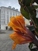 Brucknerstadt Linz 6 &ndash; &copy; Marion Kottlos (Eberhardt TRAVEL)