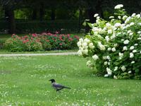 Schloß Schönbrunn &ndash; &copy; Steffi Zimmermann (Eberhardt TRAVEL)