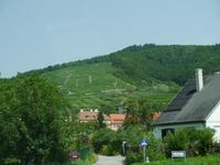 in der Wachau (4) &ndash; &copy; Simone Weißer (Eberhardt TRAVEL)