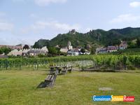 Blick auf DÃŒrnstein (2) &ndash; &copy; Simone Weißer (Eberhardt TRAVEL)
