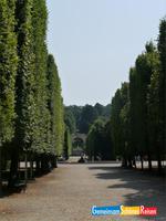 im Park vom Schloss SchÃ¶nbrunn (9) &ndash; &copy; Simone Weißer (Eberhardt TRAVEL)