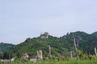 Burg Dürnstein &ndash; &copy; Madlen Lohr (Eberhardt TRAVEL)