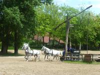 Puszta &ndash; &copy; Gisela Gerlach (Eberhardt TRAVEL)