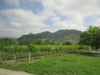 232 Wachau &ndash; &copy; Annette Weise (Eberhardt TRAVEL)