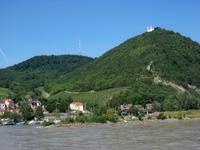 Wiener Wald &ndash; &copy; Irene Schneider (Eberhardt TRAVEL)