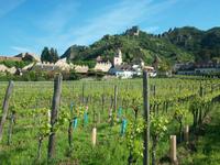 Dürnstein &ndash; &copy; Mandy Rabe (Eberhardt TRAVEL)