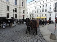 Wien - Fiaker &ndash; &copy; Sabine Letzybyll (Eberhardt TRAVEL)