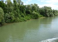Im Donau-Delta01.JPG &ndash; &copy; Georg Berger (Eberhardt TRAVEL)