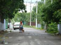 Vilkovo &ndash; &copy; Petra Scherbaum (Eberhardt TRAVEL)