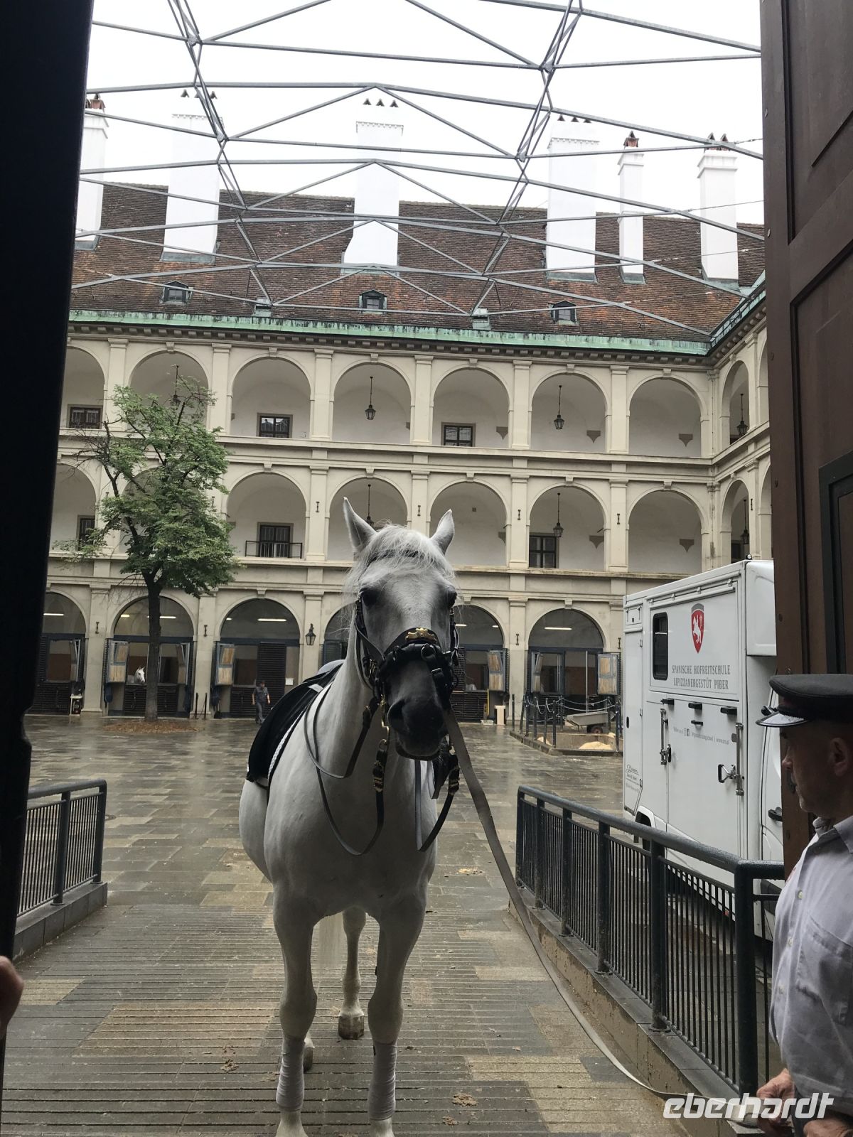 8.5.24 Wien - spanische Hofreitschule &ndash; &copy; Renate Schuster (Eberhardt TRAVEL)