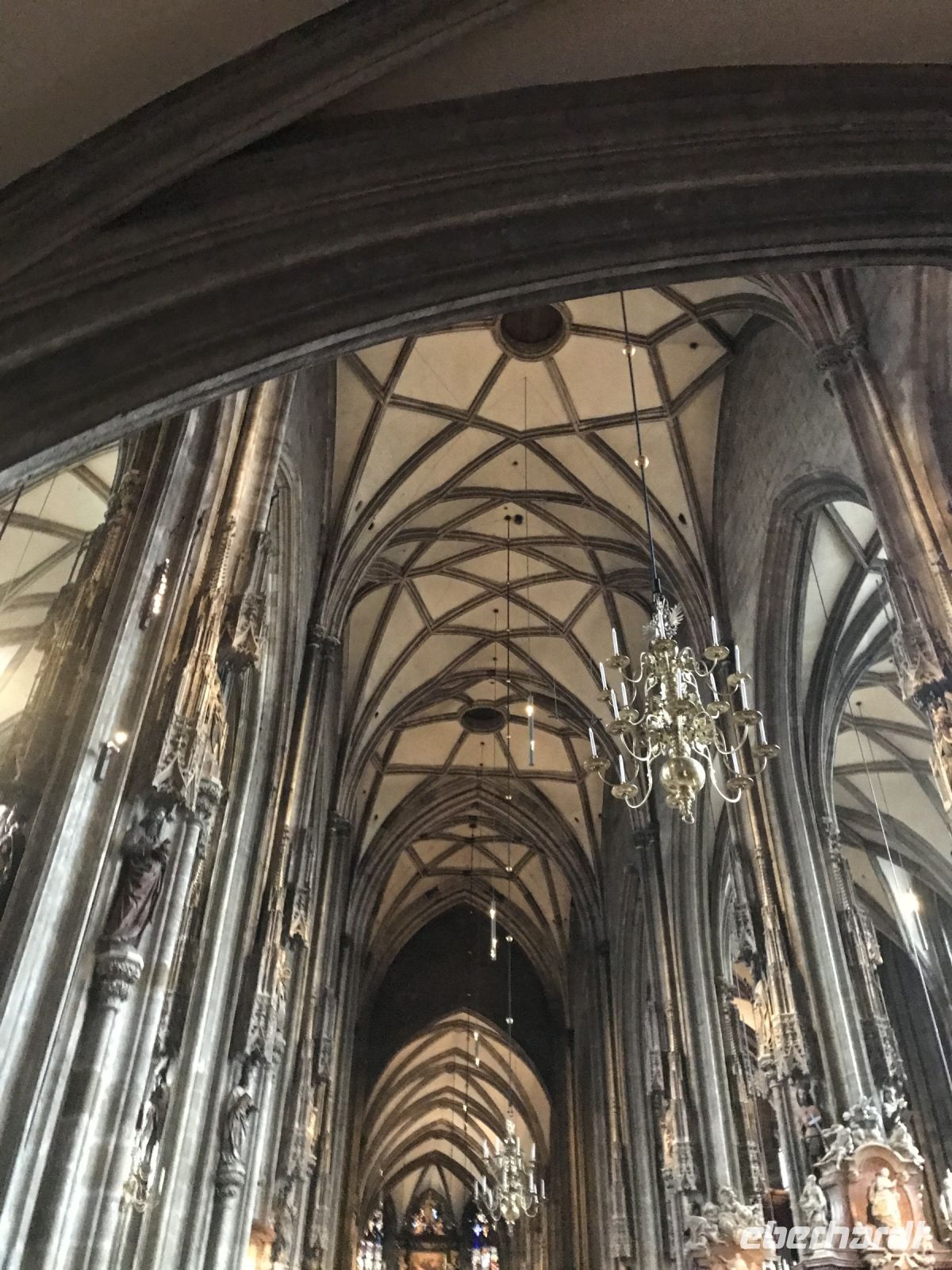 8.5.24 Wien - Domkirche St. Stephan  &ndash; &copy; Renate Schuster (Eberhardt TRAVEL)