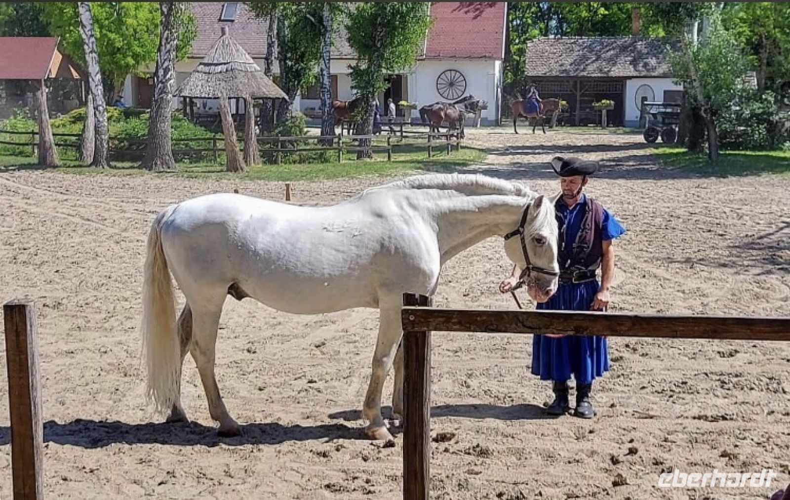 10.05.24 Budapest - Puszta &ndash; &copy; Renate Schuster (Eberhardt TRAVEL)