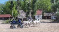 10.5.24 Budapest   Puszta &ndash; &copy; Renate Schuster (Eberhardt TRAVEL)