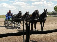 In der Puszta  &ndash; &copy; Martina Pötschke (Eberhardt TRAVEL)