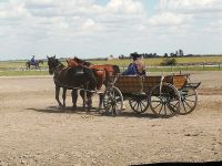 In der Puszta  &ndash; &copy; Martina Pötschke (Eberhardt TRAVEL)